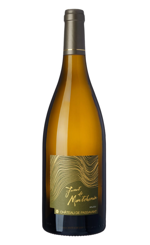 Jarret de Montchenin du château de Passavant